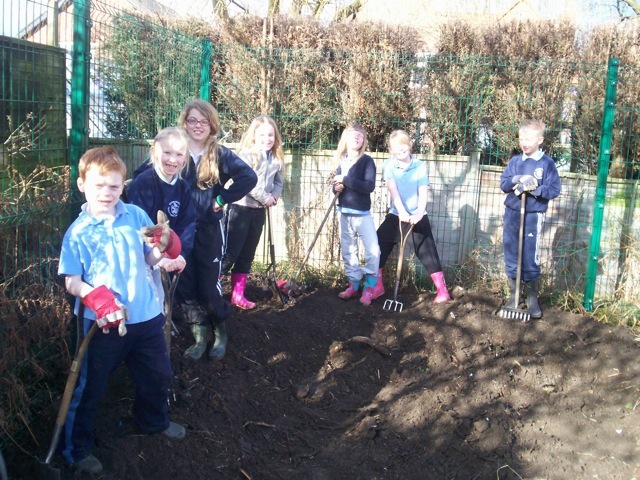 Digging a Pond