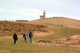 Chalk Downlands