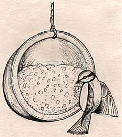 Hanging cocnut bird