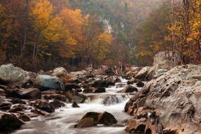 Wild River © Evgeni Dinev Free Digital Photos