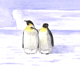 Emperor Penguins on Ice