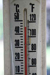 thermometer