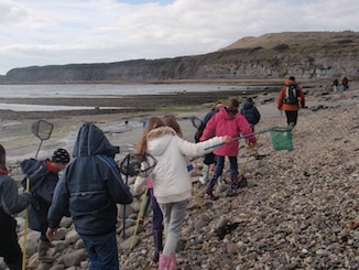 rock pools