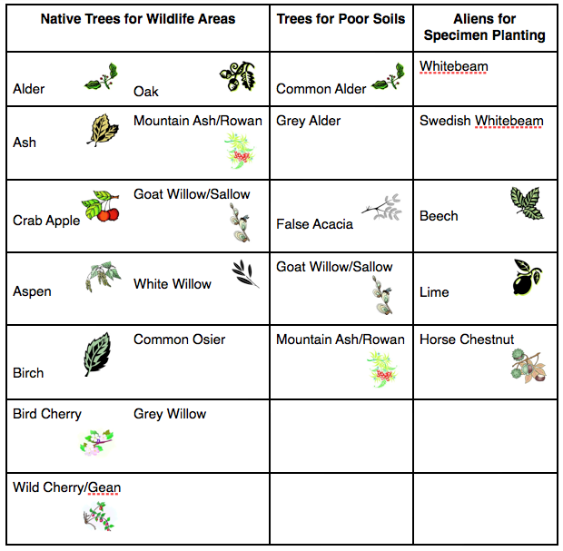 trees soil table