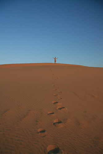 Desert Regions - What is a Desert? | Young People's Trust For the ...