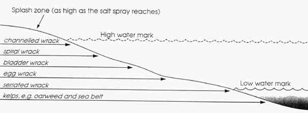 Splash zone diagram