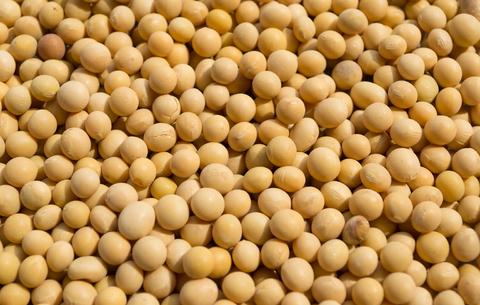 soya beans