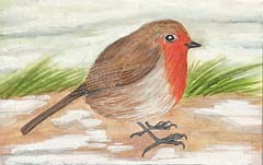 Illustration of a Robin in winter