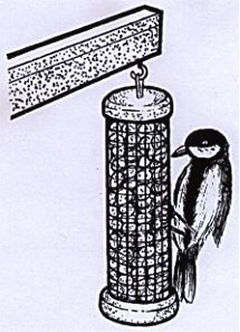 Drawing of Bird Feeder