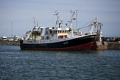 Fishing Fleet © William Murphy CC BY-SA 2.0