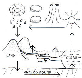 Rivers - Rivers and the Water Cycle | Young People's Trust For the