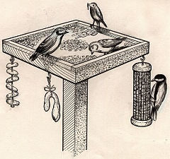 Bird feeding table