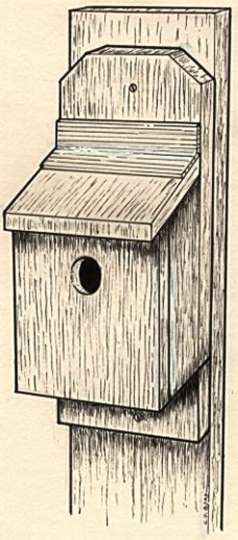 Nesting Box