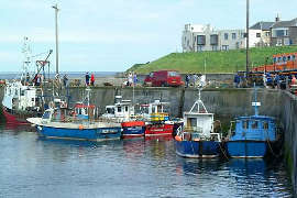 Holy Island Port