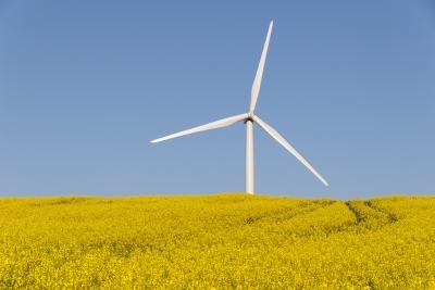 Wind turbine © dan Free Digital Photos